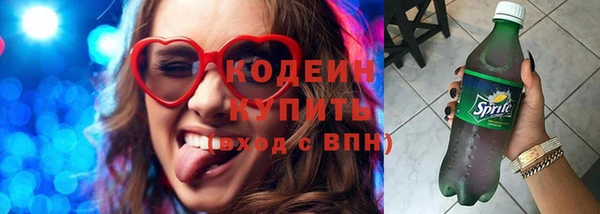 ГАЛЛЮЦИНОГЕННЫЕ ГРИБЫ Елабуга