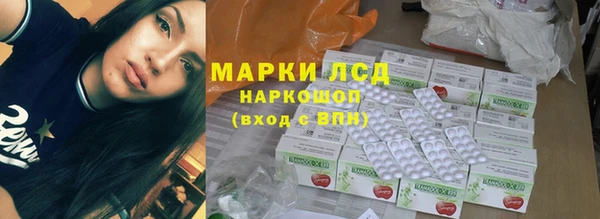 хмурый Елизово