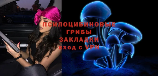 a pvp Заводоуковск