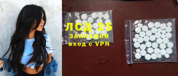 ГАЛЛЮЦИНОГЕННЫЕ ГРИБЫ Елабуга
