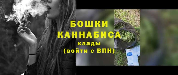 хмурый Елизово