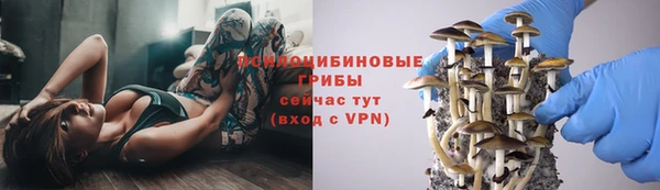 первитин Ельня