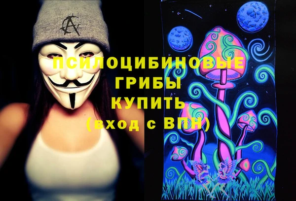 ГАЛЛЮЦИНОГЕННЫЕ ГРИБЫ Елабуга