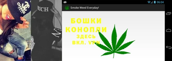 ГАЛЛЮЦИНОГЕННЫЕ ГРИБЫ Елабуга