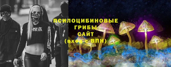хмурый Елизово