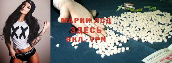 ГАЛЛЮЦИНОГЕННЫЕ ГРИБЫ Елабуга