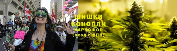хмурый Елизово