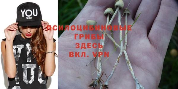 хмурый Елизово
