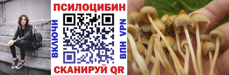 Псилоцибиновые грибы Psilocybine cubensis  Норильск 